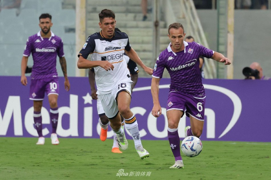 市场的交易 市场的交易